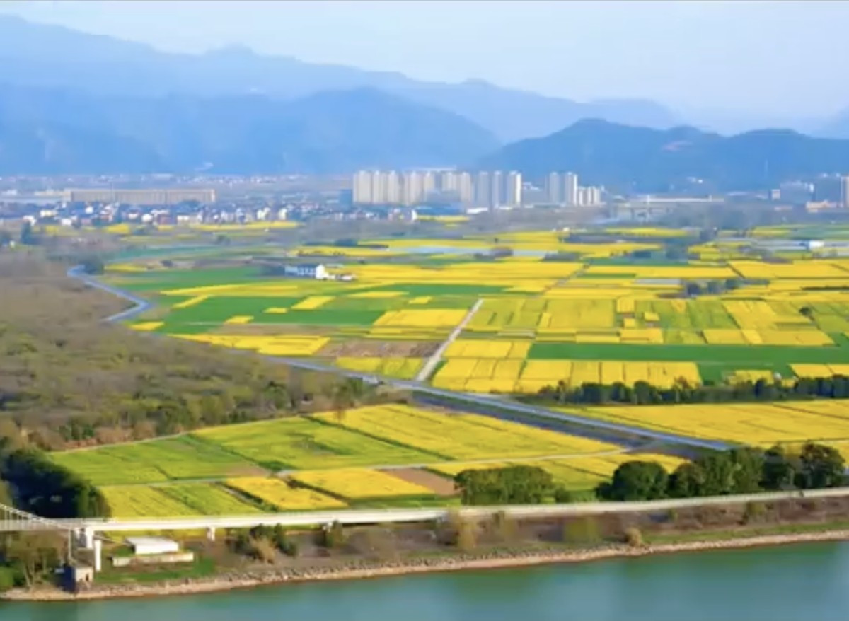這是我國(guó)第一首專門唱油菜花的歌
