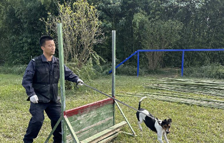 “汪汪隊”神犬是如何煉成的？